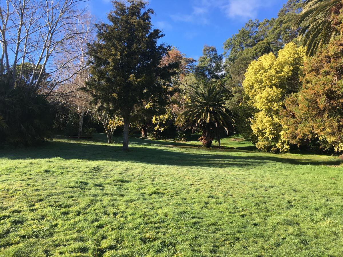 Te Puia Hot Springs Hotel Luaran gambar