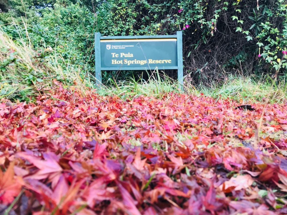 Te Puia Hot Springs Hotel Luaran gambar